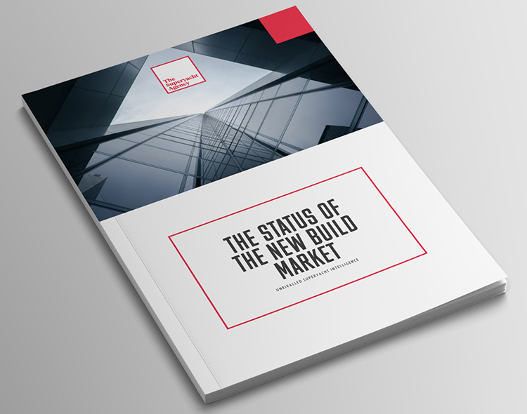 Cover shot of THE STATUS OF THE NEW BUILD MARKET